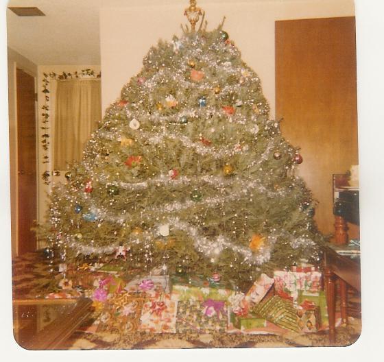 Christmas Tree 1977