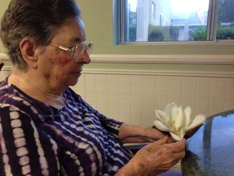 mom and the magnolia